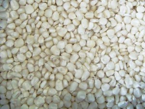 White Maize 